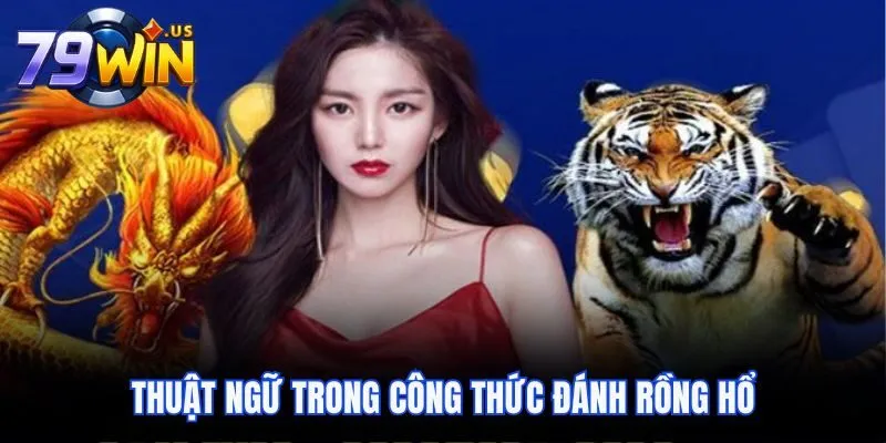 Công Thức Đánh Rồng Hổ Chuẩn Xác Hiệu Quả Như Chuyên Gia 4 Thuật ngữ trong công thức đánh Rồng Hổ