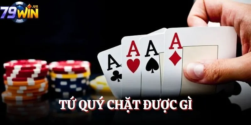 tu quy chat duoc gi avt